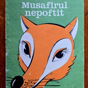 Florin Iordachescu - Musafirul nepoftit