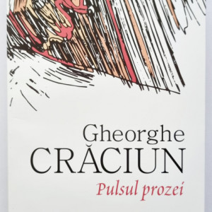Gheorghe Craciun - Pulsul prozei