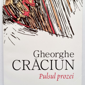 Gheorghe Craciun - Pulsul prozei