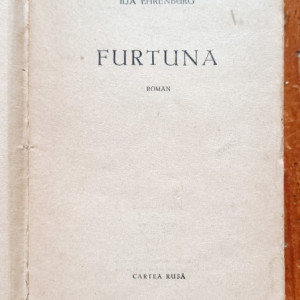 Ilya Ehrenburg - Furtuna - Img 2