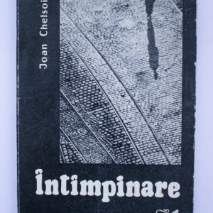 Ioan Chelsoi - Intampinare