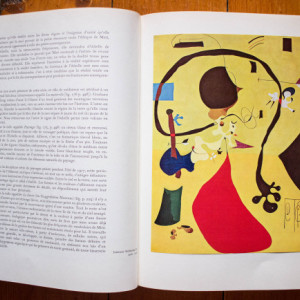 Jacques Dupin - Joan Miro (editie hardcover) - Img 3