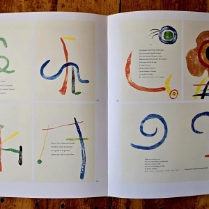 Jacques Dupin - Miro Engravings. Miro Engraver. Volume I: 1928-1960 (editie hardcover, in limba engleza) - Img 7