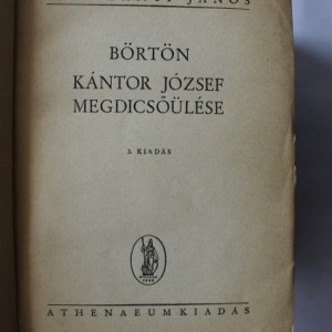 Kodolanyi Janos - Kiadas (4 vol., editie hardcover) - Img 2