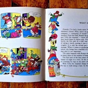Lucia Olteanu, Livia Rusz - The Adventures of Quacky and His Friends (editie hardcover) - Img 8