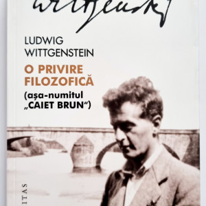 Ludwig Wittgenstein - O privire filozofica (asa-numitul ”Caiet brun”)