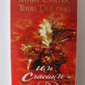 Mary Carter, Terri DuLong - Un Craciun de neuitat
