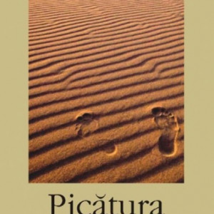 Michel Tournier - Picatura de aur