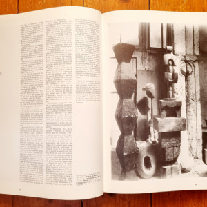 Pontus Hulten, Natalia Dumitresco, Alexandre Istrati - Constantin Brancusi (editie hardcover) - Img 2