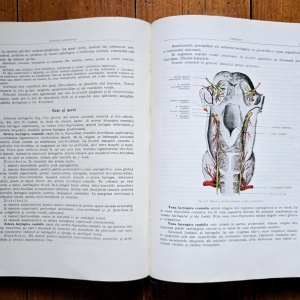 Prof. Z. Iagnov, Prof. E. Repciuc, Prof. G. Russu - Anatomia omului. Viscere (editie hardcover) - Img 5
