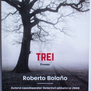 Roberto Bolano - Trei
