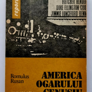 Romulus Rusan - America ogarului cenusiu