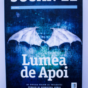 Susan Ee - Lumea de Apoi