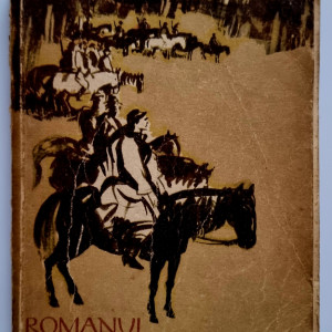 Vlaicu Birna - Romanul Caterinei Varga