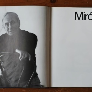 Alain Jouffroy, Joan Teixidor - Miro Plastik (editie hardcover, in etui special) - Img 4