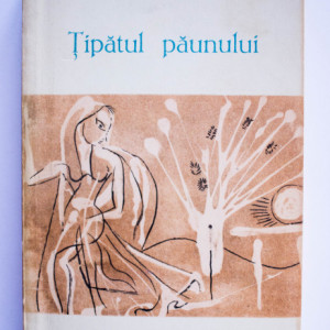 Anita Desai - Tipatul paunului