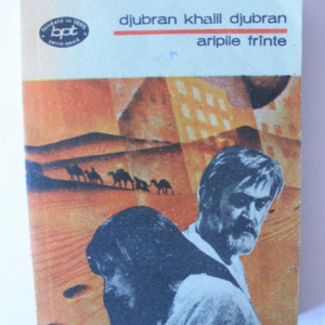 Djubran Khalil Djubran - Aripile frante