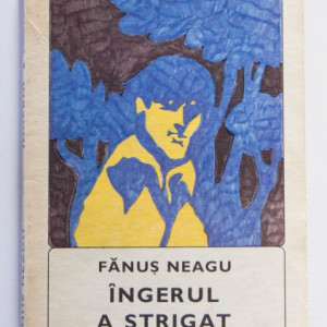 Fanus Neagu - Ingerul a strigat