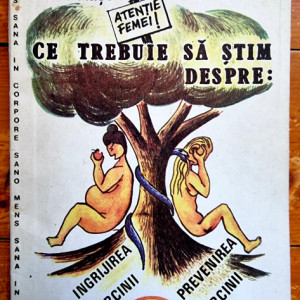Flaviu Muresan, Romulus Negrea, Sorin Prisca, Candet Scurtu - Ce trebuie sa stim despre ingrijirea sarcinii, alaptare si prevenirea sarcinii
