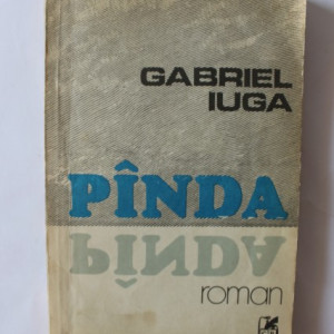 Gabriel Iuga - Panda