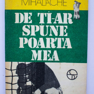 George Mihalache - De ce ti-ar spune poarta mea
