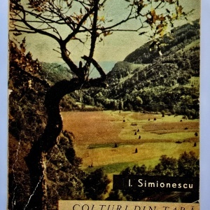 I. Simionescu - Colturi din tara