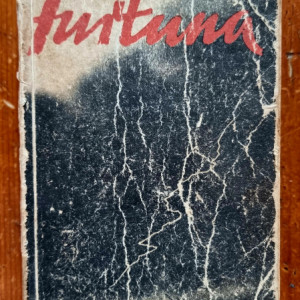 Ilya Ehrenburg - Furtuna