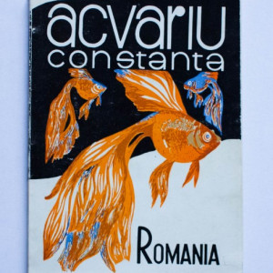 Ing. Marcel Stanciu - Acvariu Constanta