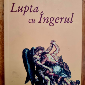Jean-Paul Kauffmann - Lupta cu Ingerul