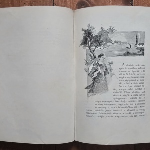 Kaposi Jozsef, Klinda Teofil - Mult es Jelen. Rajzok es elbeszelesek (editie hardcover) - Img 6