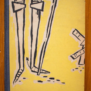 Miguel de Cervantes - Iscusitul Hidalgo Don Quijote de la Mancha (editie hardcover) - Img 2