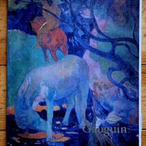 Nina Stanculescu-Zamfirescu - Gauguin (editie hardcover)