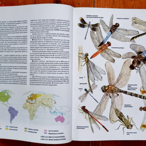Prof. Anuta Ionescu-Andrei - Atlas zoologic (editie hardcover) - Img 3