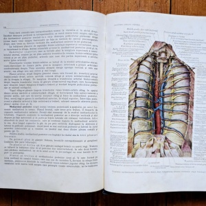 Prof. Z. Iagnov, Prof. E. Repciuc, Prof. G. Russu - Anatomia omului. Viscere (editie hardcover) - Img 6