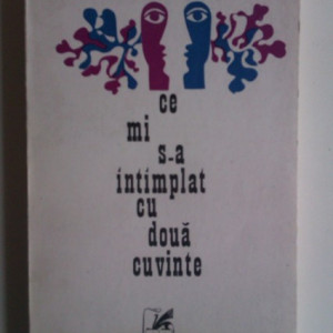 Stefan Aug. Doinas - Ce mi s-a intamplat cu doua cuvinte