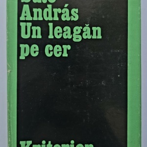 Suto Andras - Un leagan pe cer. Pagini de jurnal (editie hardcover)