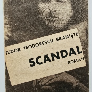 Tudor Teodorescu-Braniste - Scandal