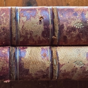 Victor Hugo - Les Contemplations (2 vol., editie hardcover, frumos relegata)