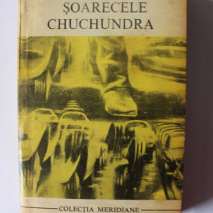 Alarico Casse - Soarecele Chuchundra