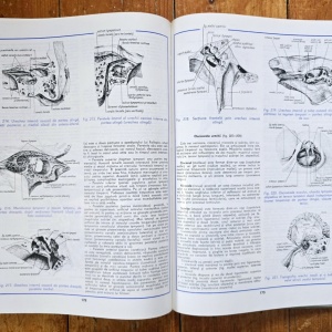 Conf. dr. Mircea Gh. Ifrim (coord.) - Atlas de anatomie umana (3 vol., editie hardcover) - Img 2
