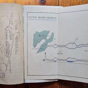 Constantin Chirita - Ciresarii - Img 2
