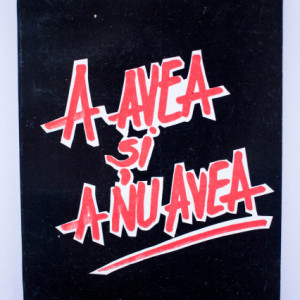 Ernest Hemingway - A avea si a nu avea