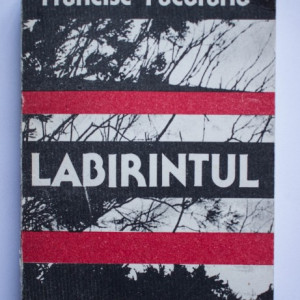 Francisc Pacurariu - Labirintul