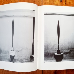Friedrich Teja Bach - Constantin Brancusi. Metamorphosen plastischer Form (editie hardcover, in limba germana) - Img 7