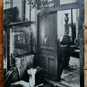 Friedrich Teja Bach, Margit Rowell, Ann Temkin - Constantin Brancusi (1876-1957) (exhibition catalog, Philadelphia Museum of Art, October 8 - December 31, 1995)