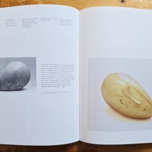 Friedrich Teja Bach, Margit Rowell, Ann Temkin - Constantin Brancusi (1876-1957) (exhibition catalog, Philadelphia Museum of Art, October 8 - December 31, 1995) - Img 11