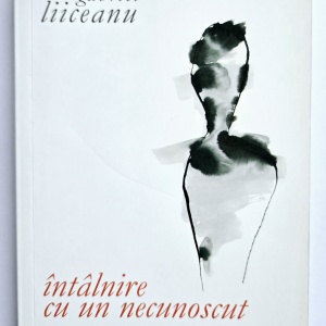 Gabriel Liiceanu - Intalnire cu un necunoscut
