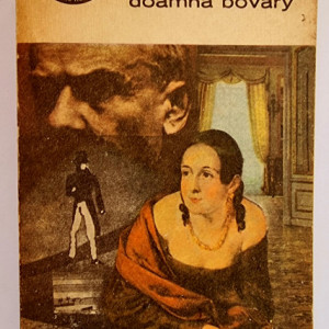 Gustave Flaubert - Doamna Bovary