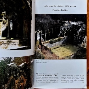 Henry Gilles - Abbaye Notre-Dame de Villers en Brabant - Img 4