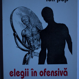 Ion Pop - Elegii in ofensiva